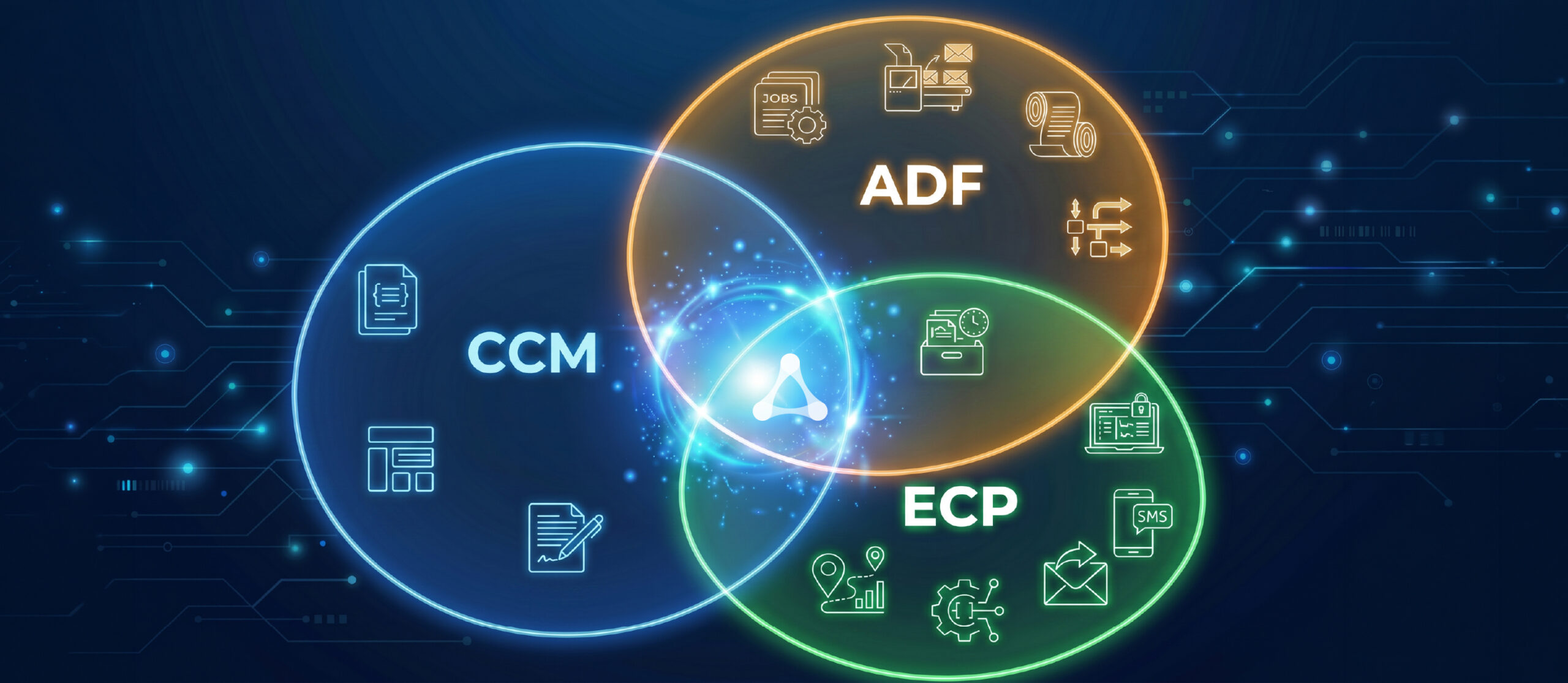 ADF vs ECP vs CCM